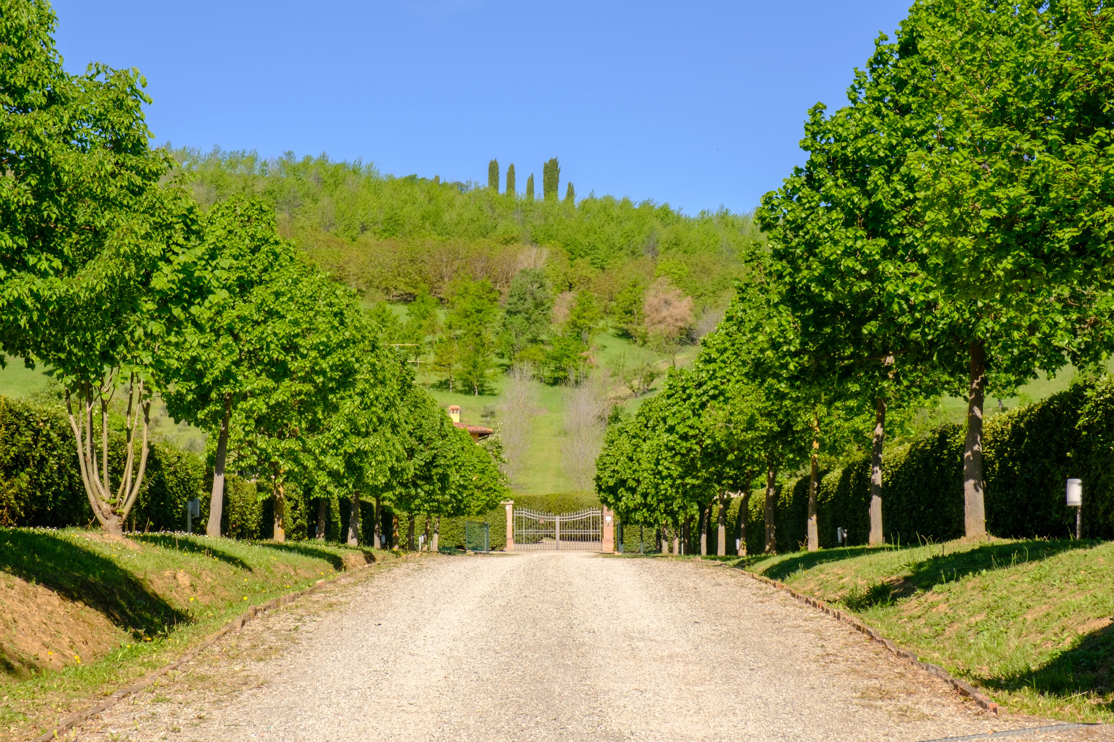 Foto - BolognaRoomscom - La Quercia