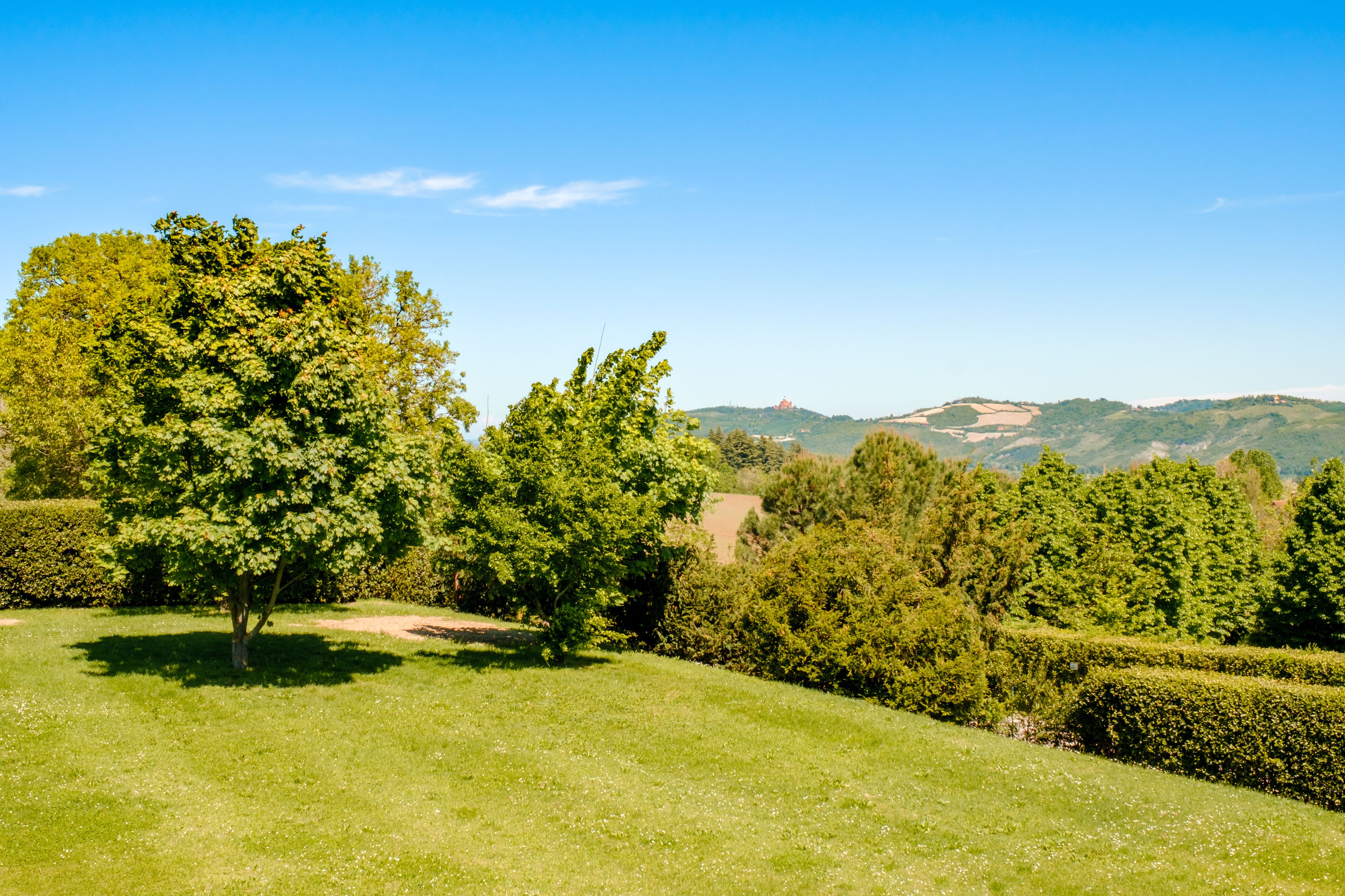 A lush green landscape with trees and a clear blue sky.
