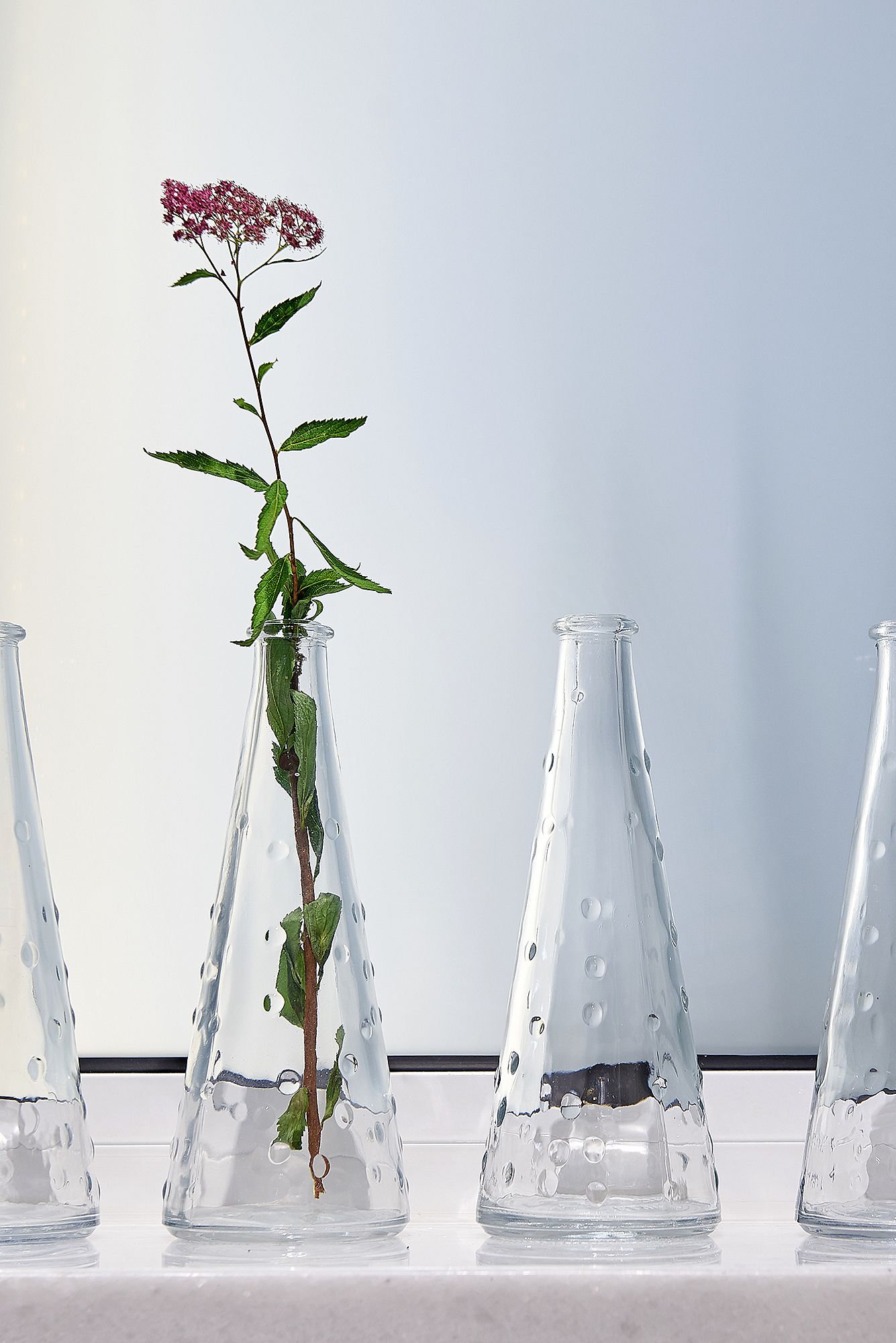 Four glass flasks with water droplets, each containing a plant with green leaves and pink flowers.