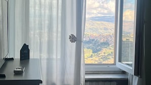A room with a window, a radiator, and a desk with a remote control.