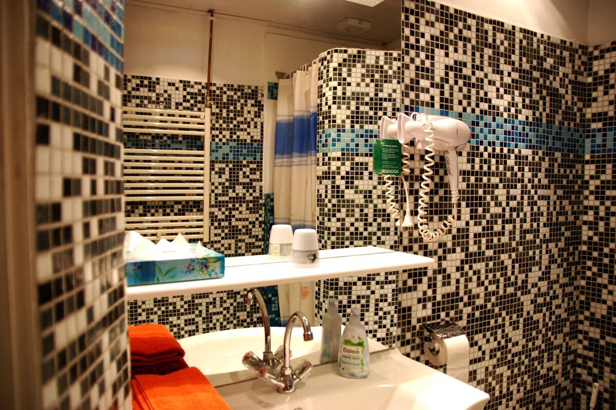 business single room | bathroom | shower, hair dryer, towels