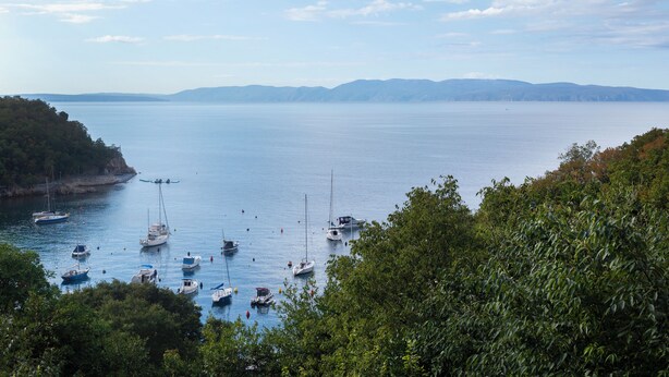A coastal view with boats anchored near the shore, surrounded by dense greenery. - Boarding House Lucija (Kostrena)