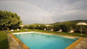 Una piscina rectangular con borde de piedra, rodeada de tumbonas y sombrillas, con un árbol y colinas al fondo.