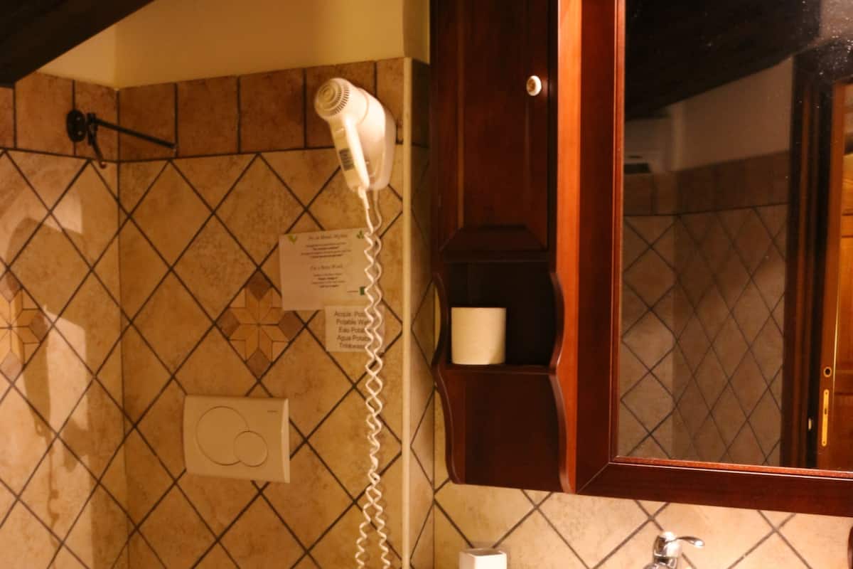 Shower, free toiletries, hair dryer, bidet