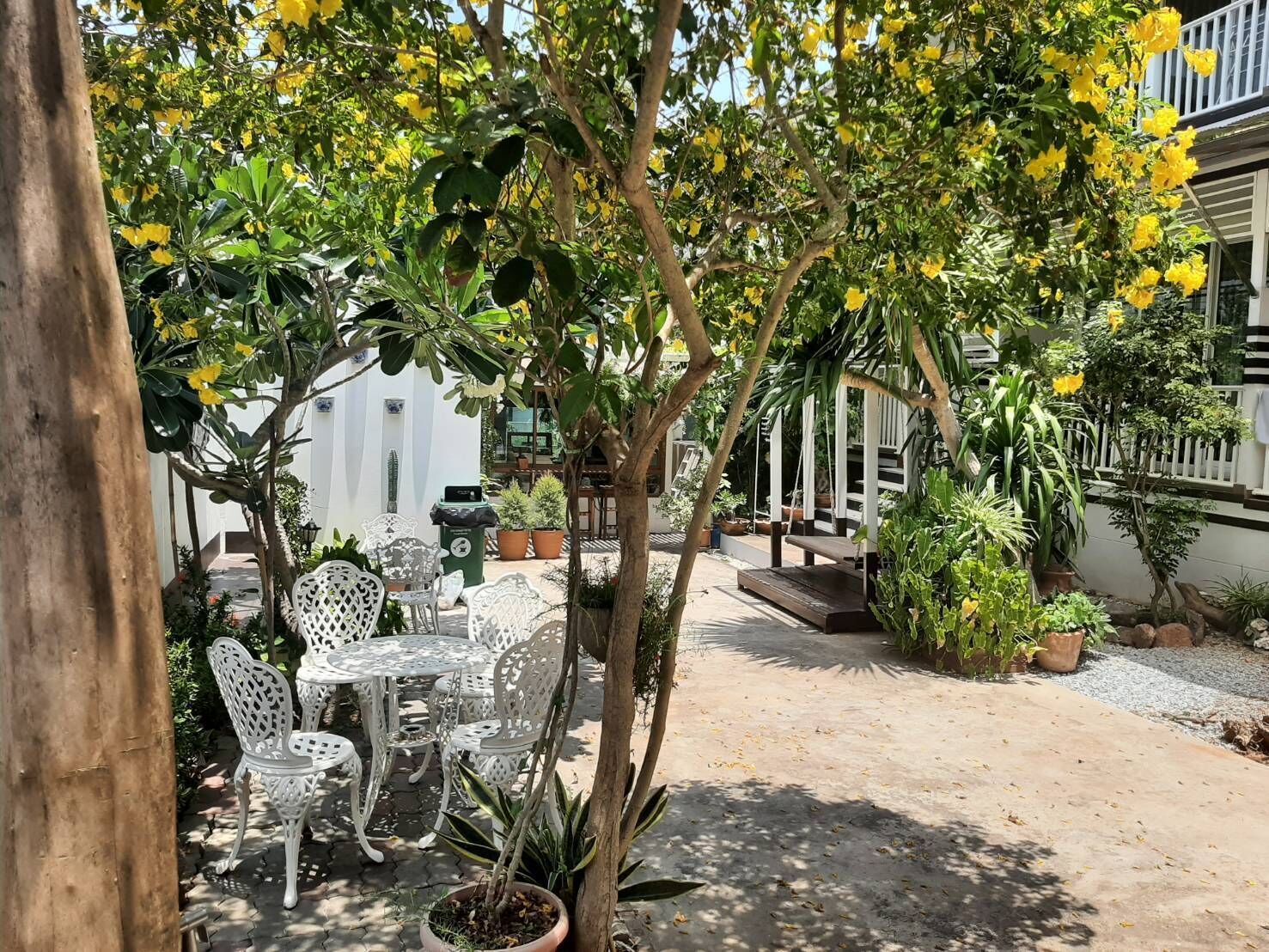 Eine Terrassengruppe im Freien mit weißem Tisch und Stühlen, umgeben von Kübelpflanzen und blühenden Gelbsträuchern.