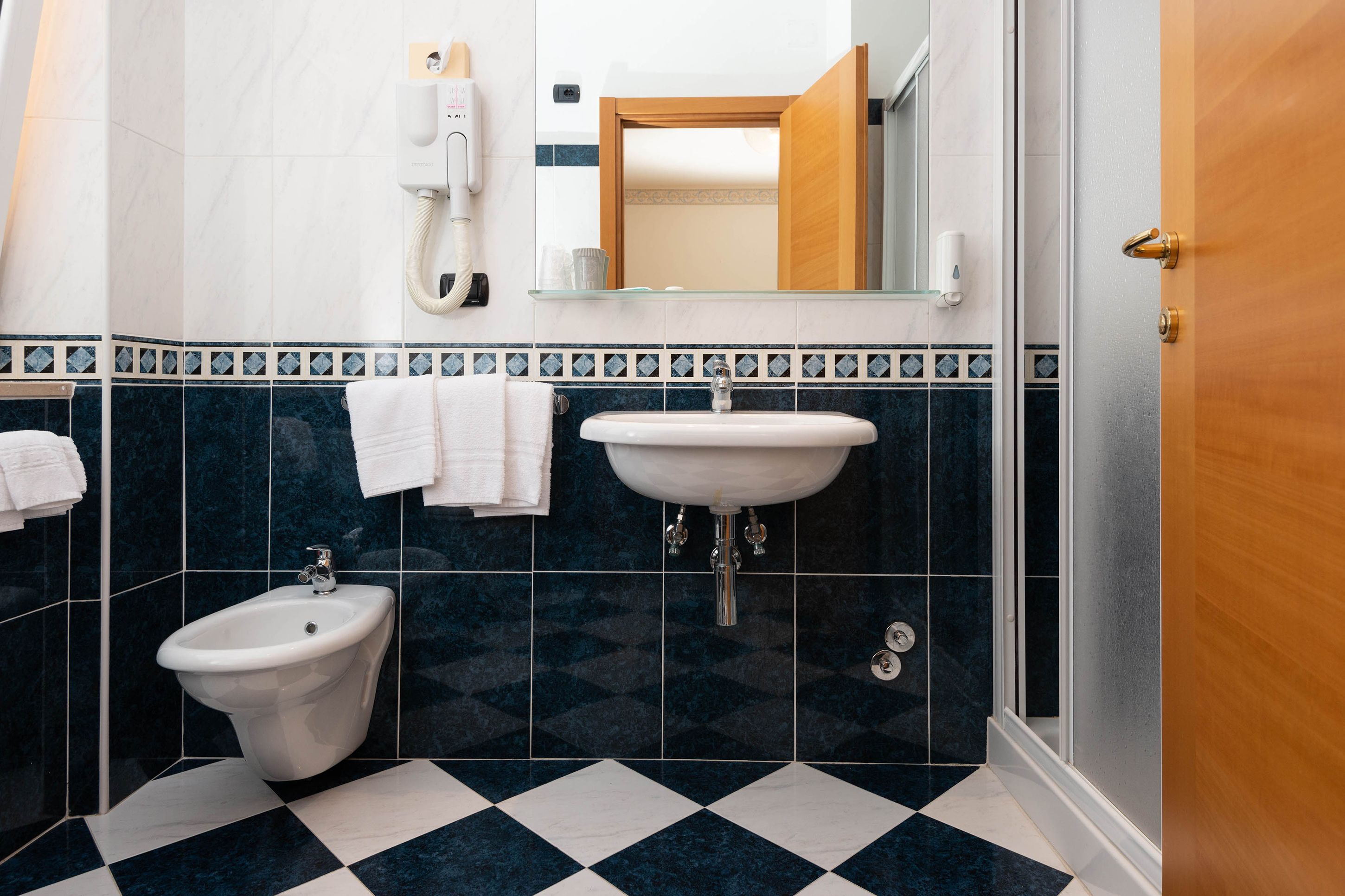 shower, free toiletries, hair dryer, bidet