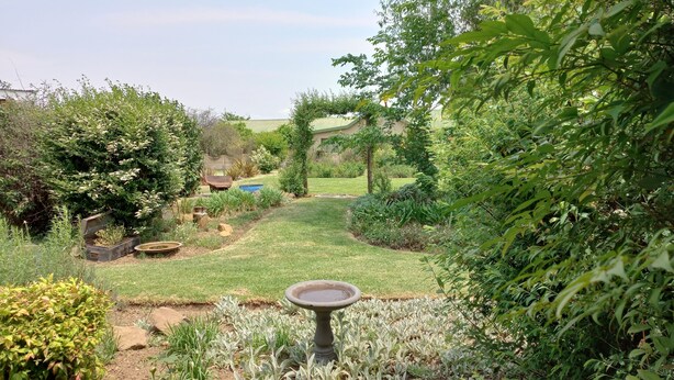 A garden with a fountain, various plants, and a lawn.