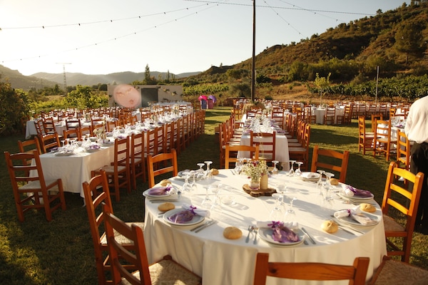 Outdoor wedding area
