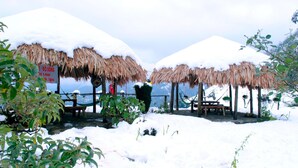 Een strandhut met rieten dak, omgeven door besneeuwde grond en planten.