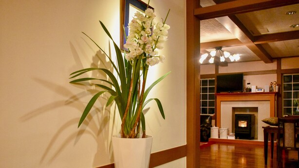 Una habitación con piso de madera, un jarrón blanco con una planta sobre una mesita y una chimenea al fondo.