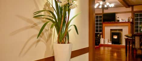 Wi-Fi gratuit, draps fournis