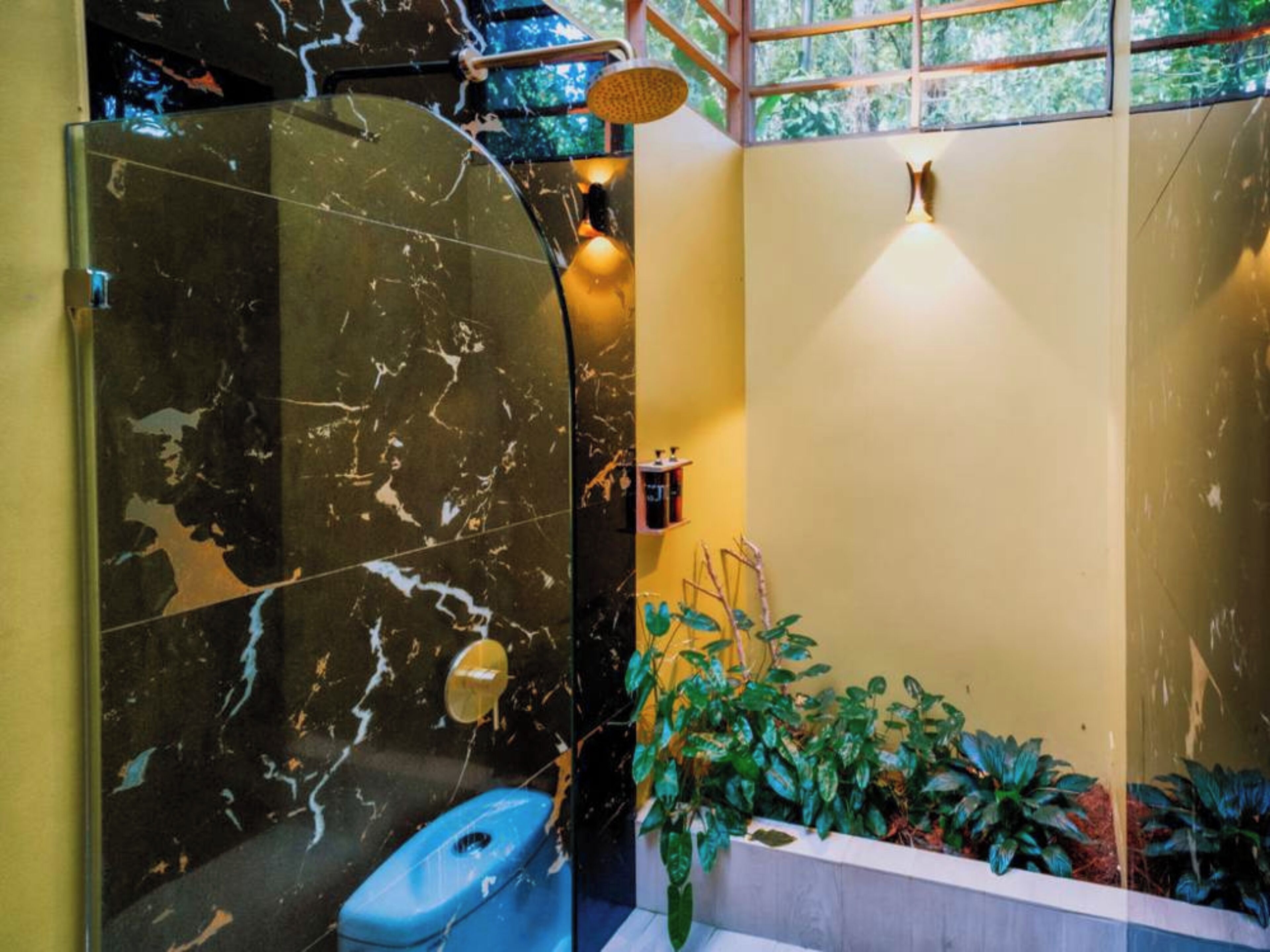Un baño con ducha envuelta en vidrio, un inodoro azul y una jardinera con plantas verdes.