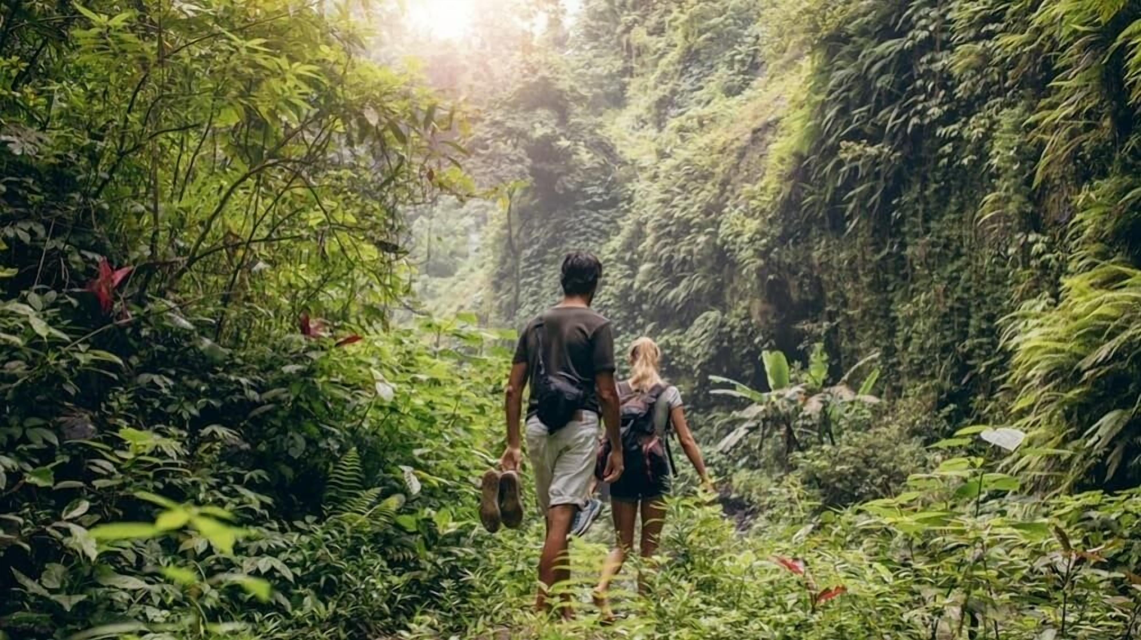 Photo - La Shamana - Ecological Concept in Jungle