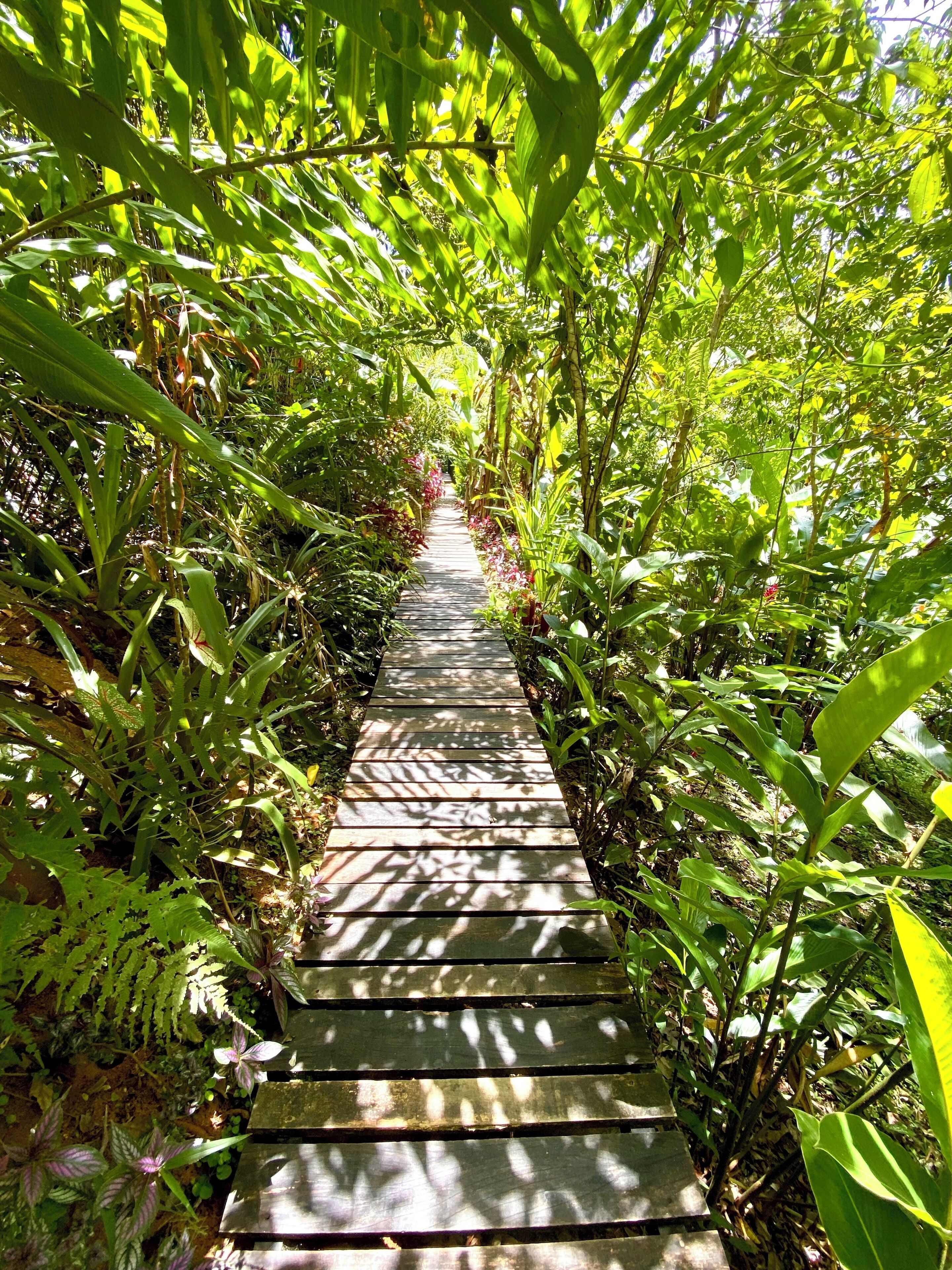 Photo - La Shamana - Ecological Concept in Jungle