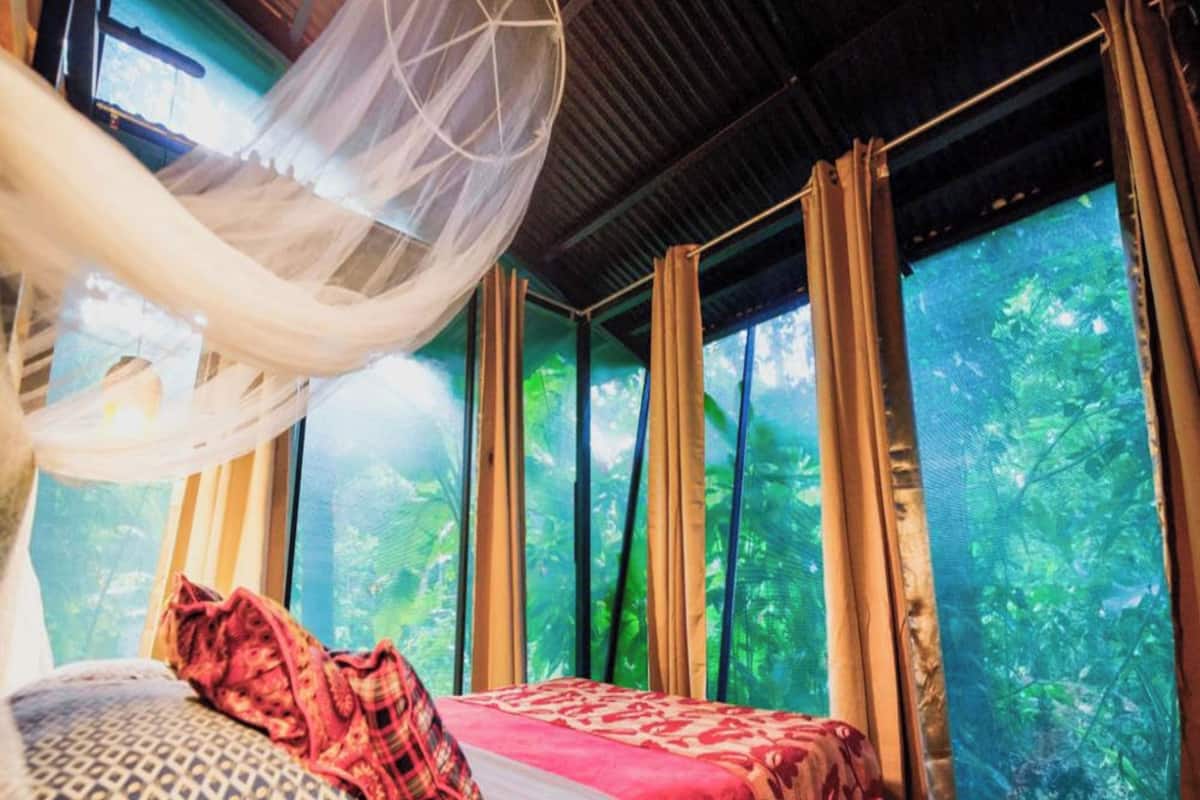 Un dormitorio con cama, dosel colgante y amplias ventanas con vistas al bosque.
