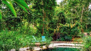 Una piscina cristal·lina envoltada de vegetació i arbres frondosos.