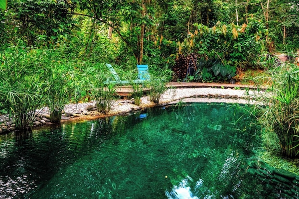 Outdoor pool, pool umbrellas, pool loungers