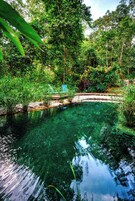 Outdoor pool, pool umbrellas, sun loungers