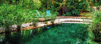 La Shamana Ecological, Concept in the Jungle