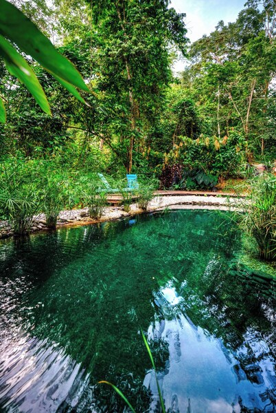 La Shamana Ecological, Concept in the Jungle