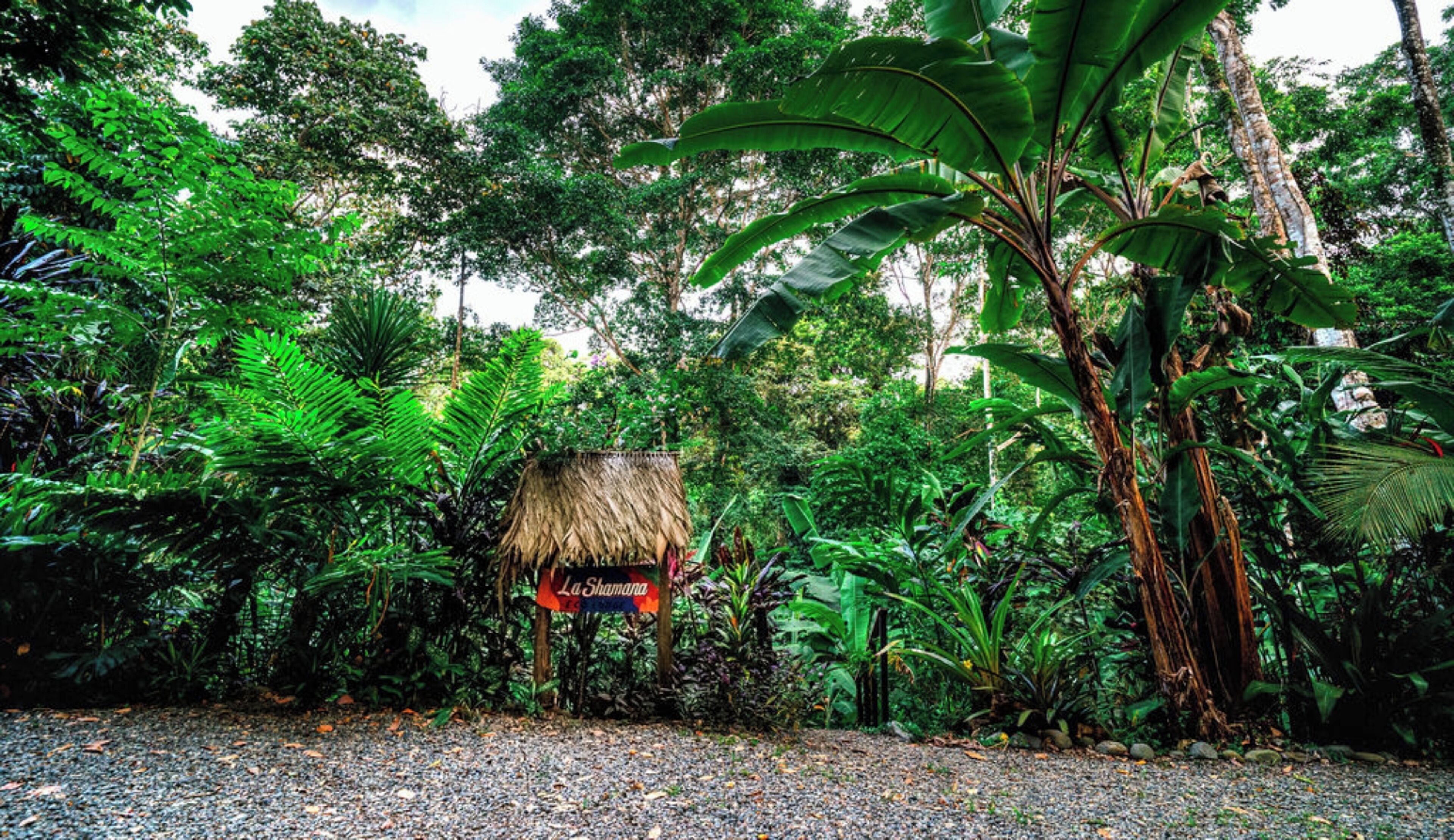 Photo - La Shamana - Ecological Concept in Jungle