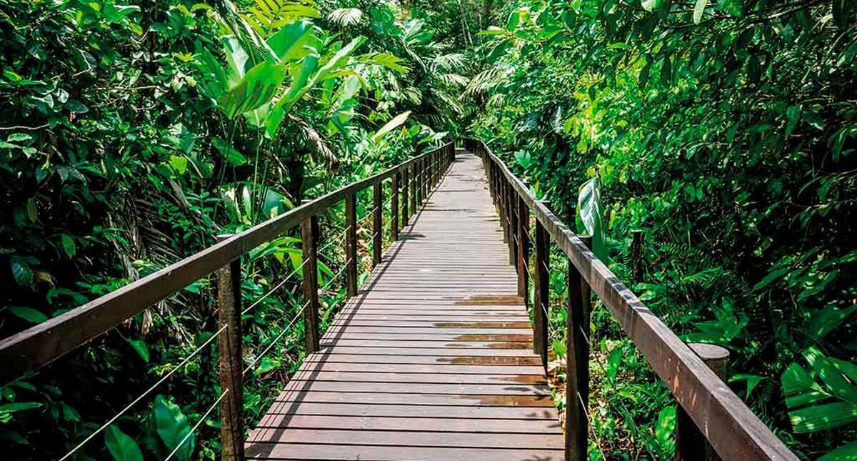 Photo - La Shamana - Ecological Concept in Jungle