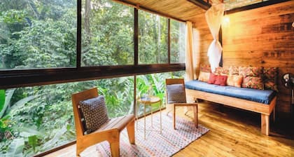 La Shamana Ecological, Concept in the Jungle