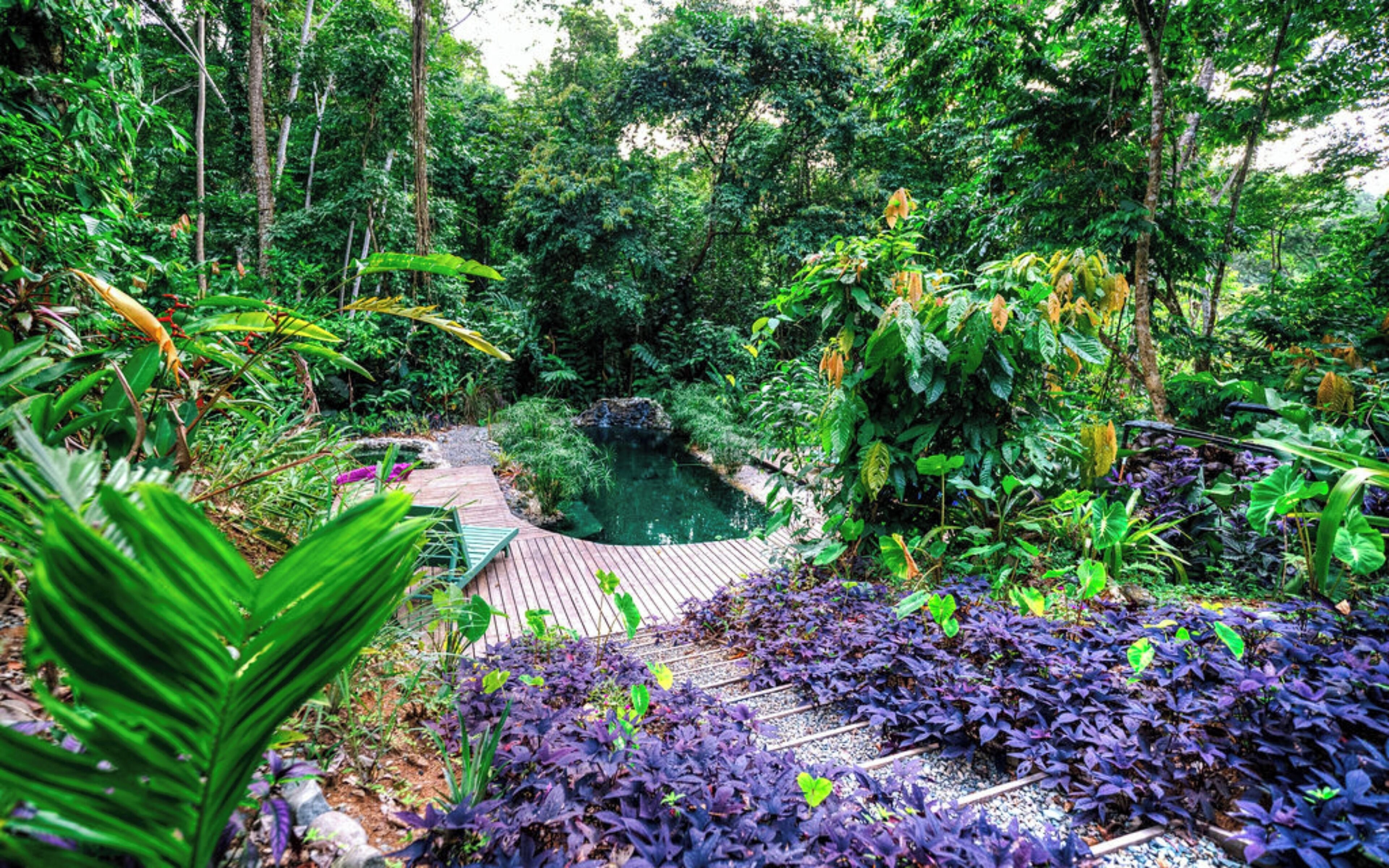 Photo - La Shamana - Ecological Concept in Jungle
