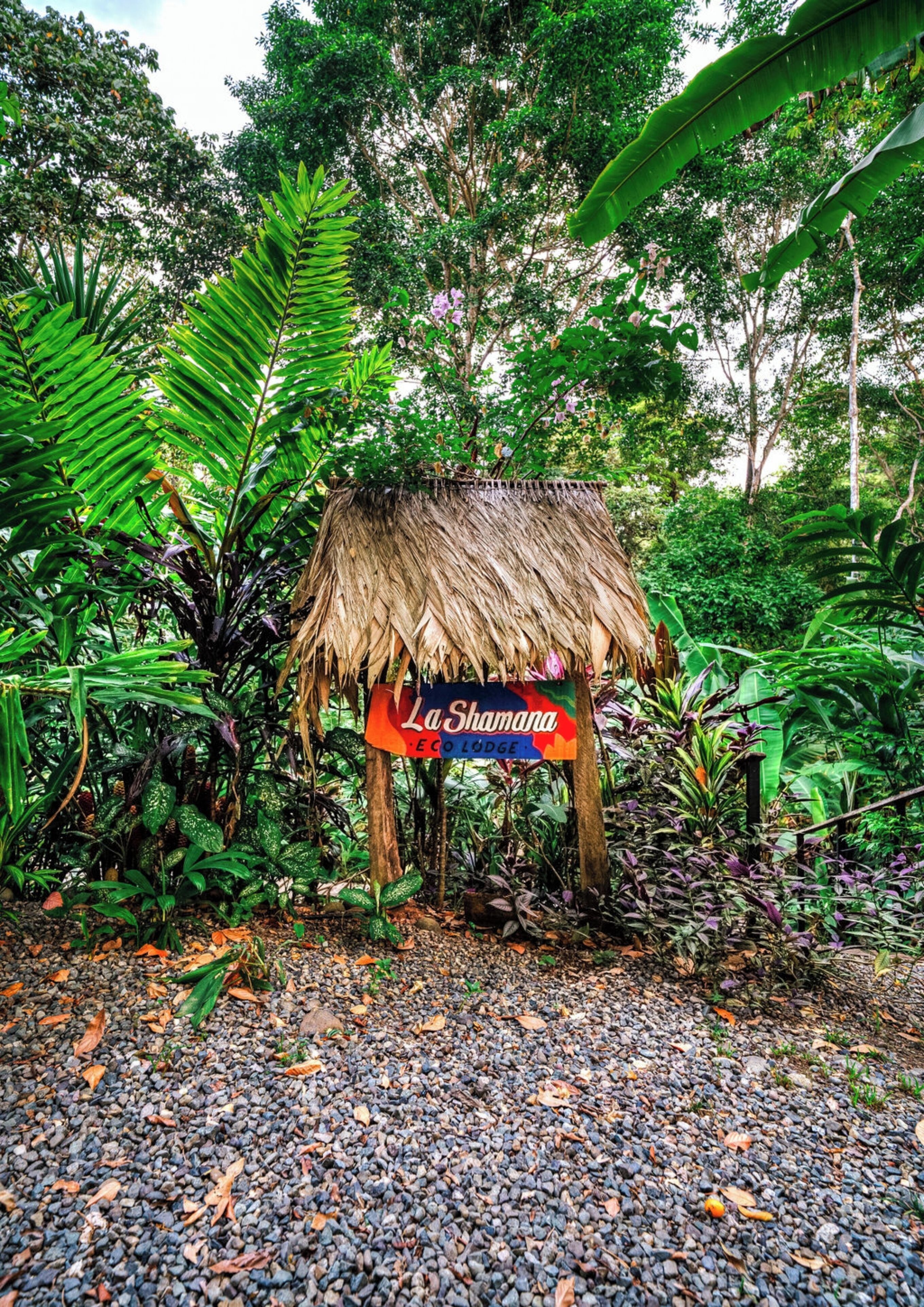 Photo - La Shamana - Ecological Concept in Jungle