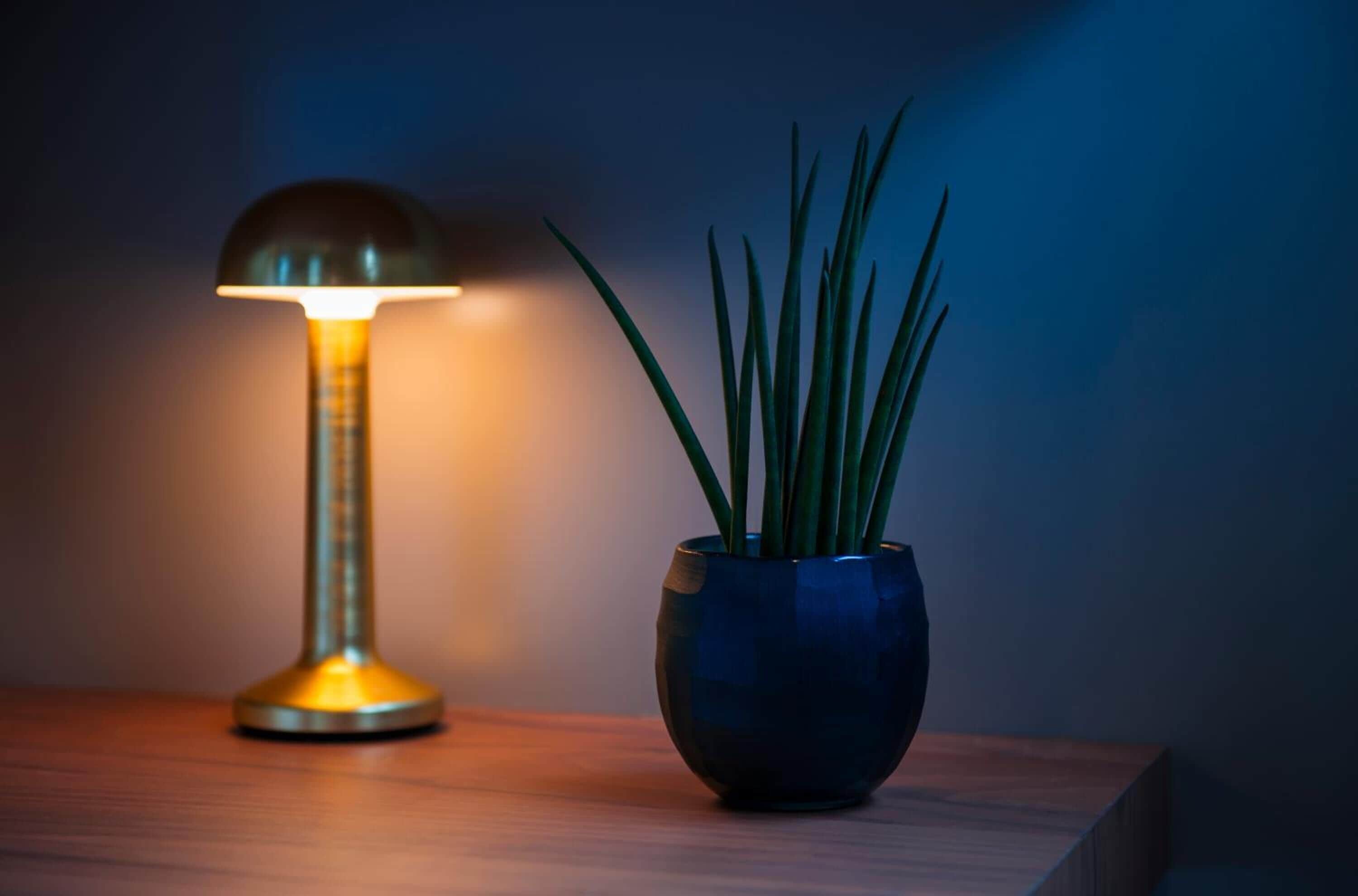 A table with a lamp and a potted plant.