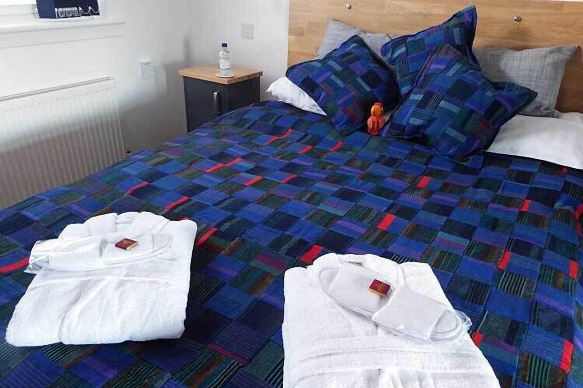 Suite, 1 letto king | Wi-Fi gratuito, lenzuola