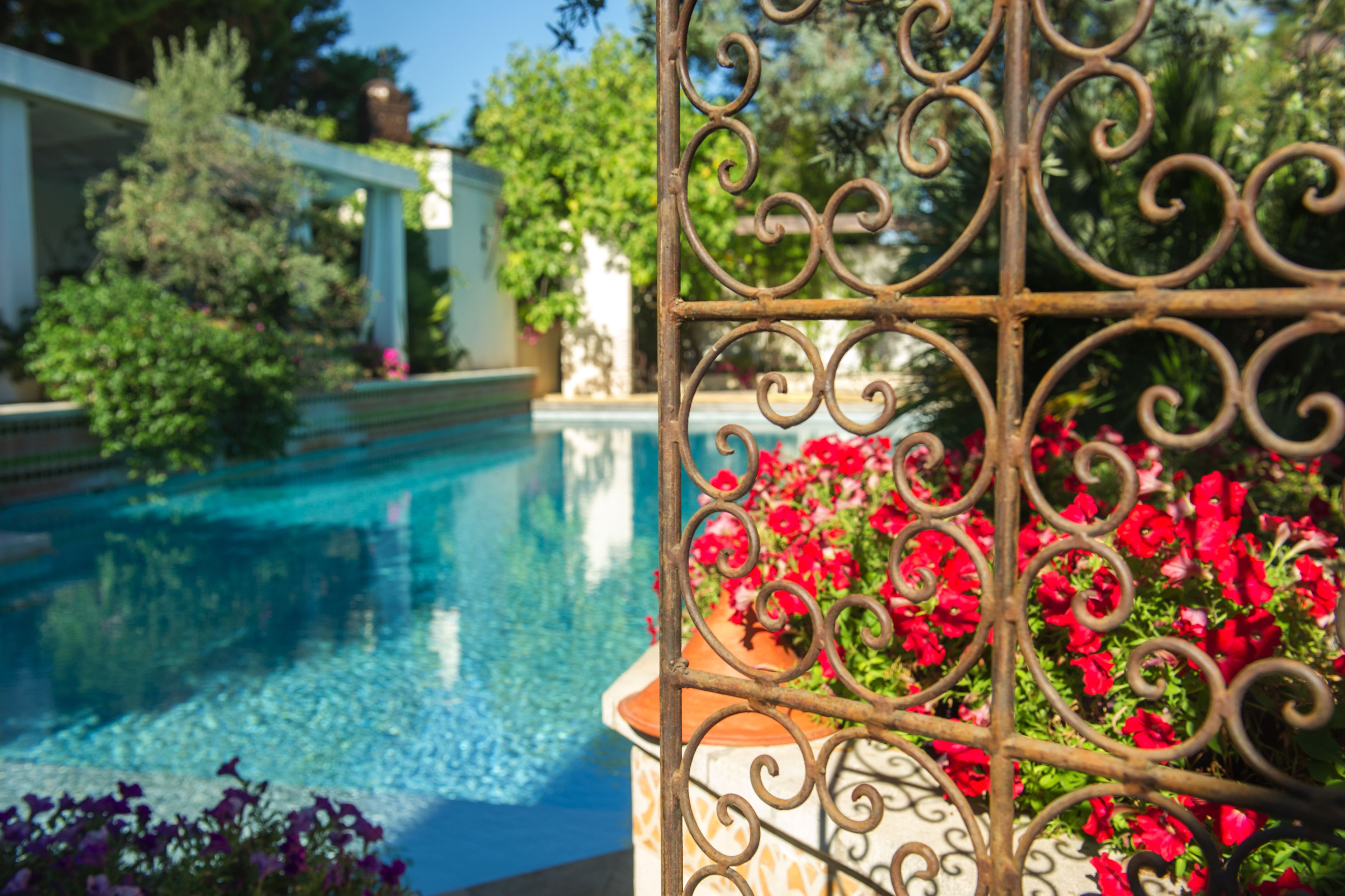 seasonal outdoor pool, pool loungers