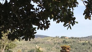 A garden with blooming pink flowers, a stone pathway, and a view of a hilly landscape in the background. - Borgo La Grancia (Montalcino)