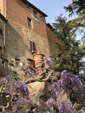 A historic building with a large terracotta pot and wisteria flowers in front.