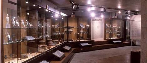 Una exhibición de museo con vitrinas de cristal que contienen varios artefactos.