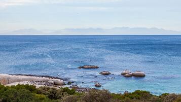 A coastal landscape with clear blue sea, rocky outcrops, and distant mountains.