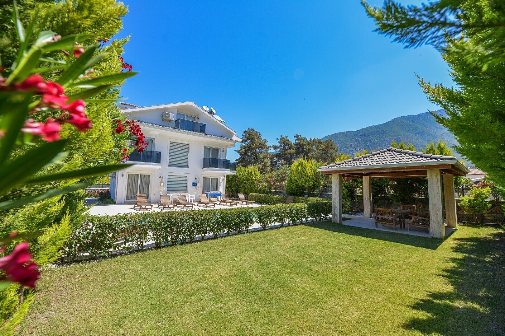 Terrein van de accommodatie