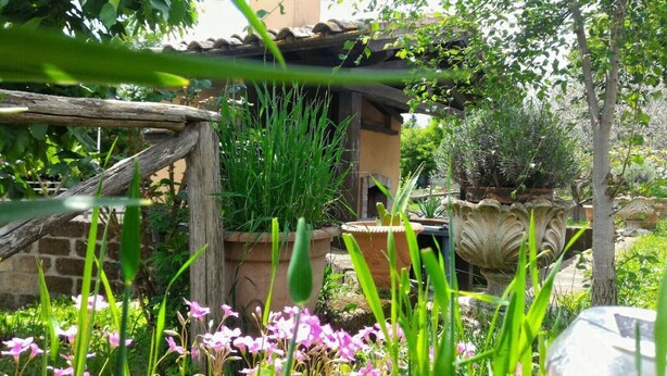 A garden with potted plants, a wooden fence, and a stone wall. - Agriturismo San Filippo (Acquapendente)
