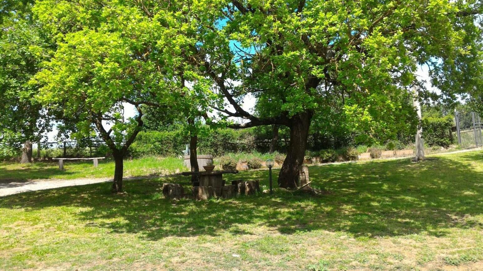 A park with a large tree, a wooden bench, and a stone table.