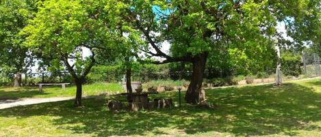 A park with a large tree, a wooden bench, and a stone table.