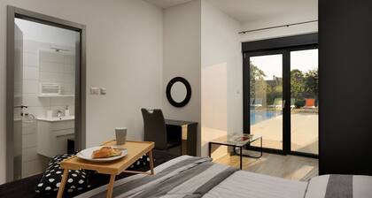 Villa Rudinka - villa with private pool in the center of Istria