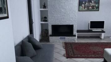 TV, fireplace, DVD player, books