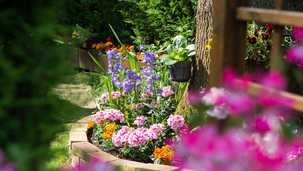 Un jardín con una variedad de flores y plantas, incluyendo flores moradas, rosas y anaranjadas, dispuestas en un parterre elevado.