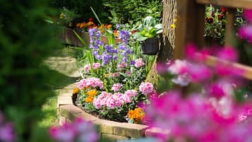 Tuin