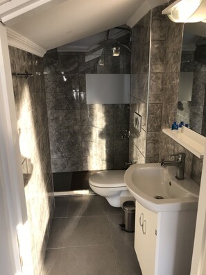Shower, free toiletries, hair dryer, slippers