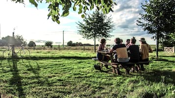 Grill-/picnicområde