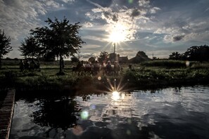 Aire de pique-nique/barbecue