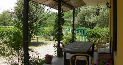 Life B&B