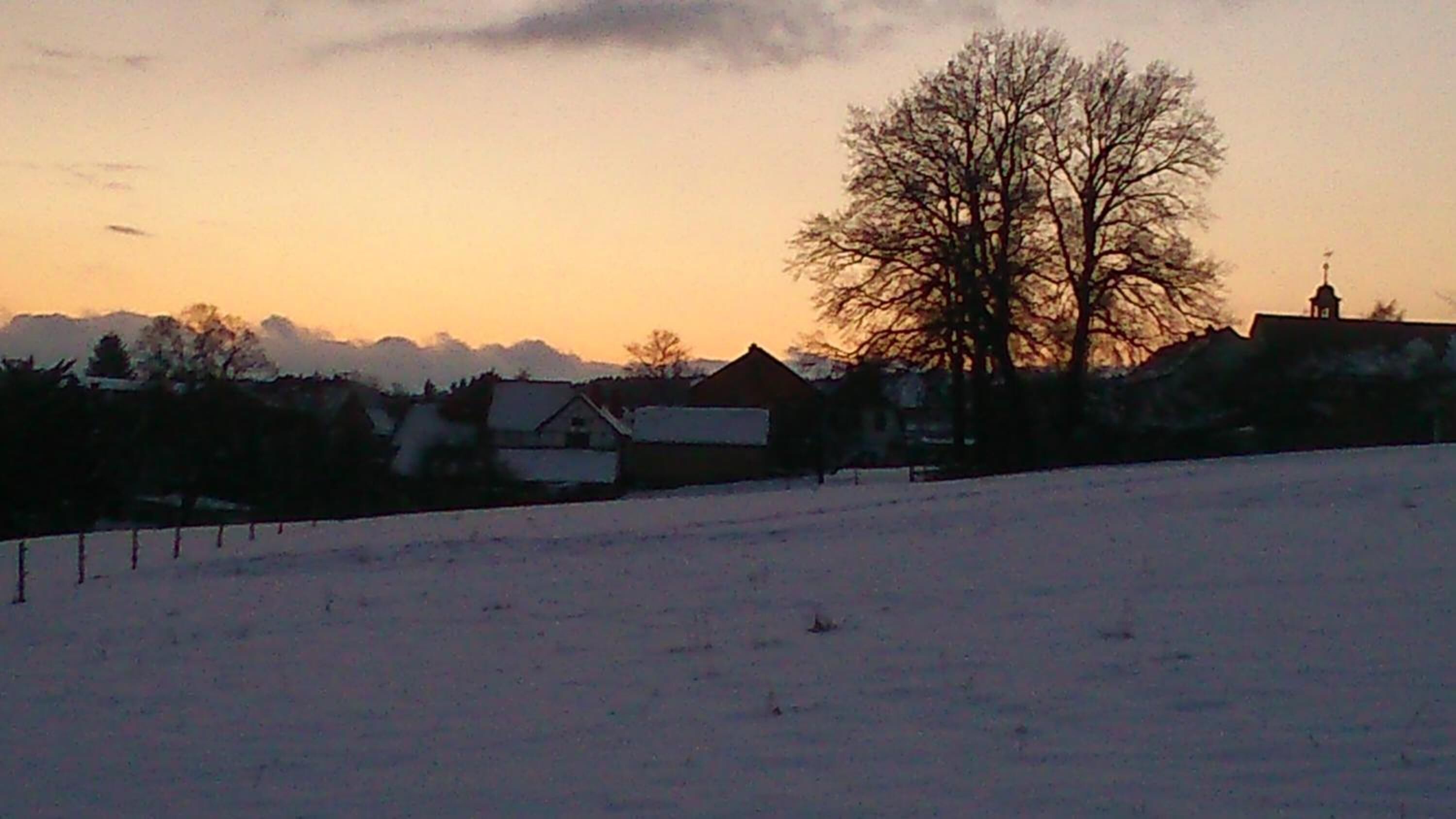 Een besneeerd landschap met huizen en een grote boom.