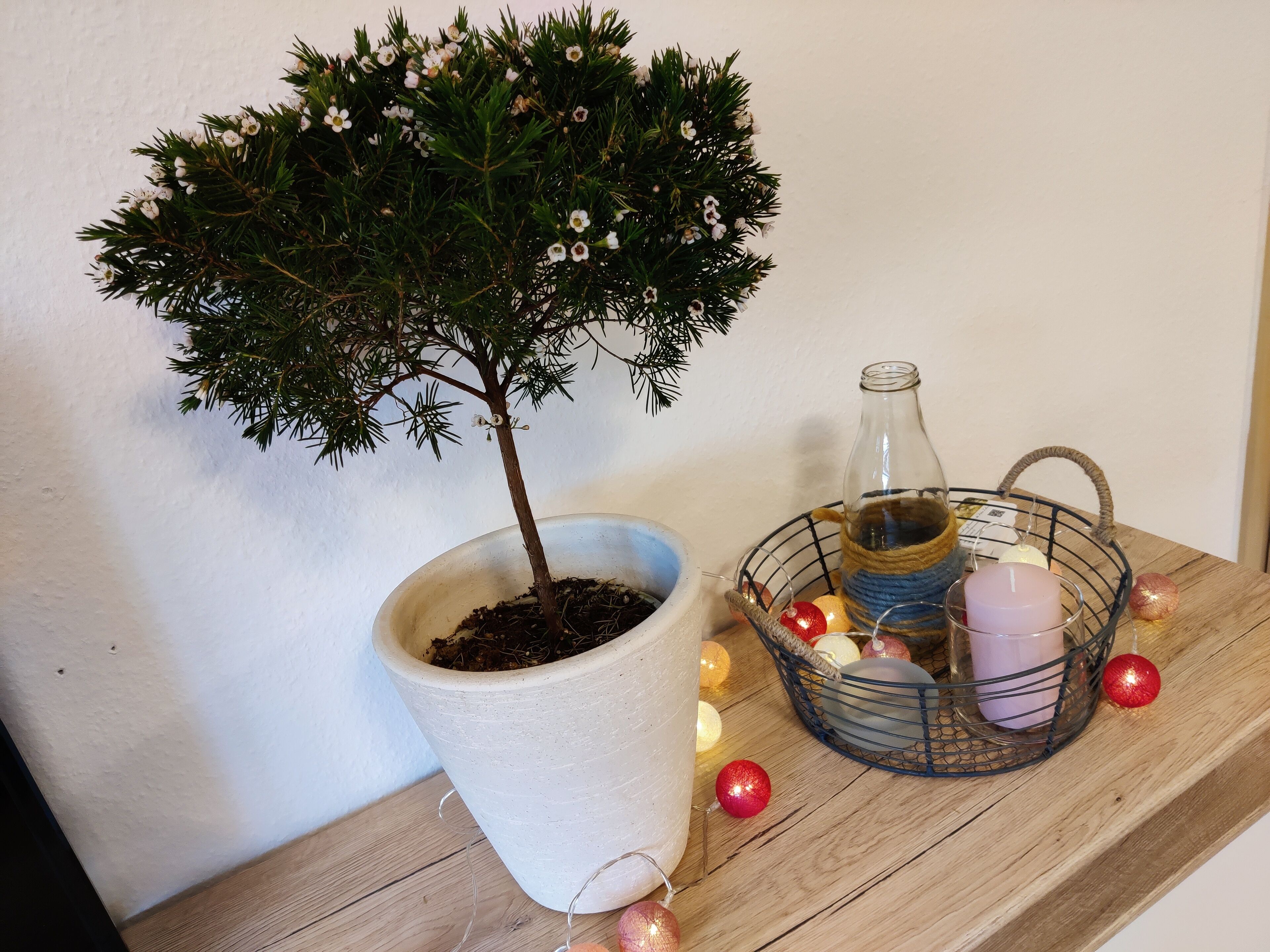 Un arbre en pot orné de fleurs blanches, une bouteille en verre et un panier contenant des bougies et des décorations, le tout posé sur une étagère en bois.